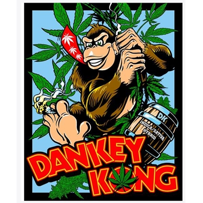 SevenLeaf Dankey Kong Strain 4"x5" Sticker